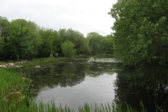 pond