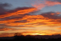 sunset