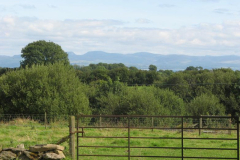 view-from-gate view-from-gate