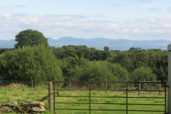 View over the gate from the cottage's private garden